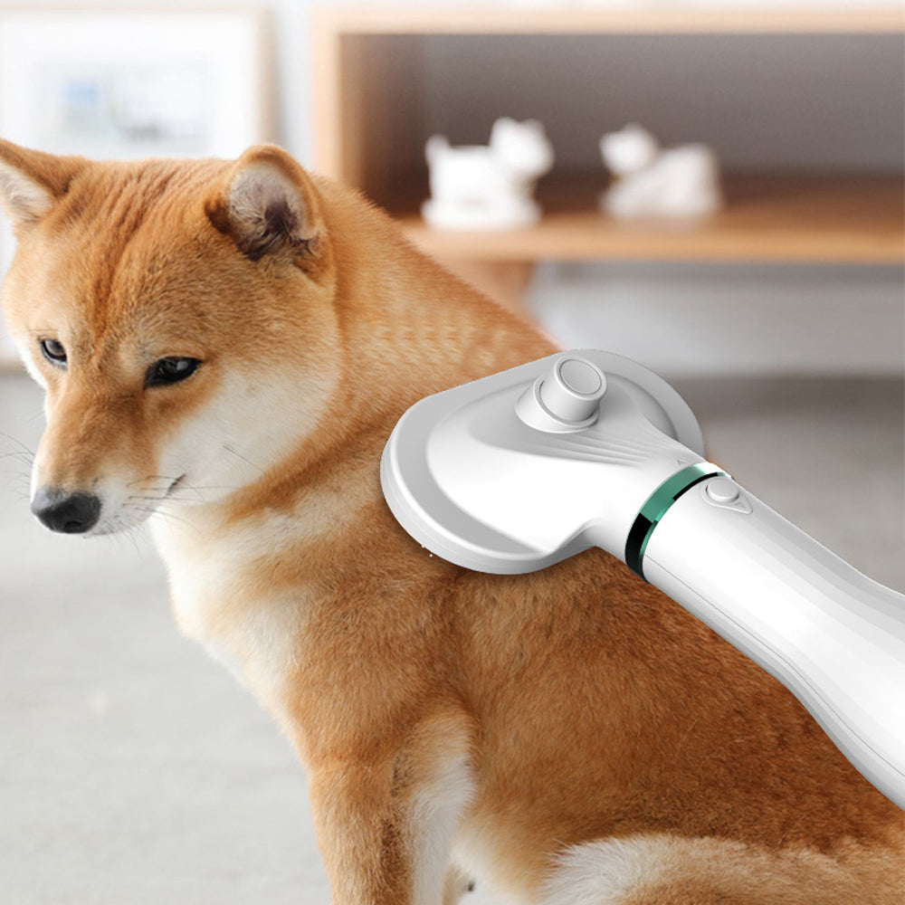 Maroon Asteria pet comb hair dryer for grooming pets, with a sleek design and adjustable settings for efficient drying.