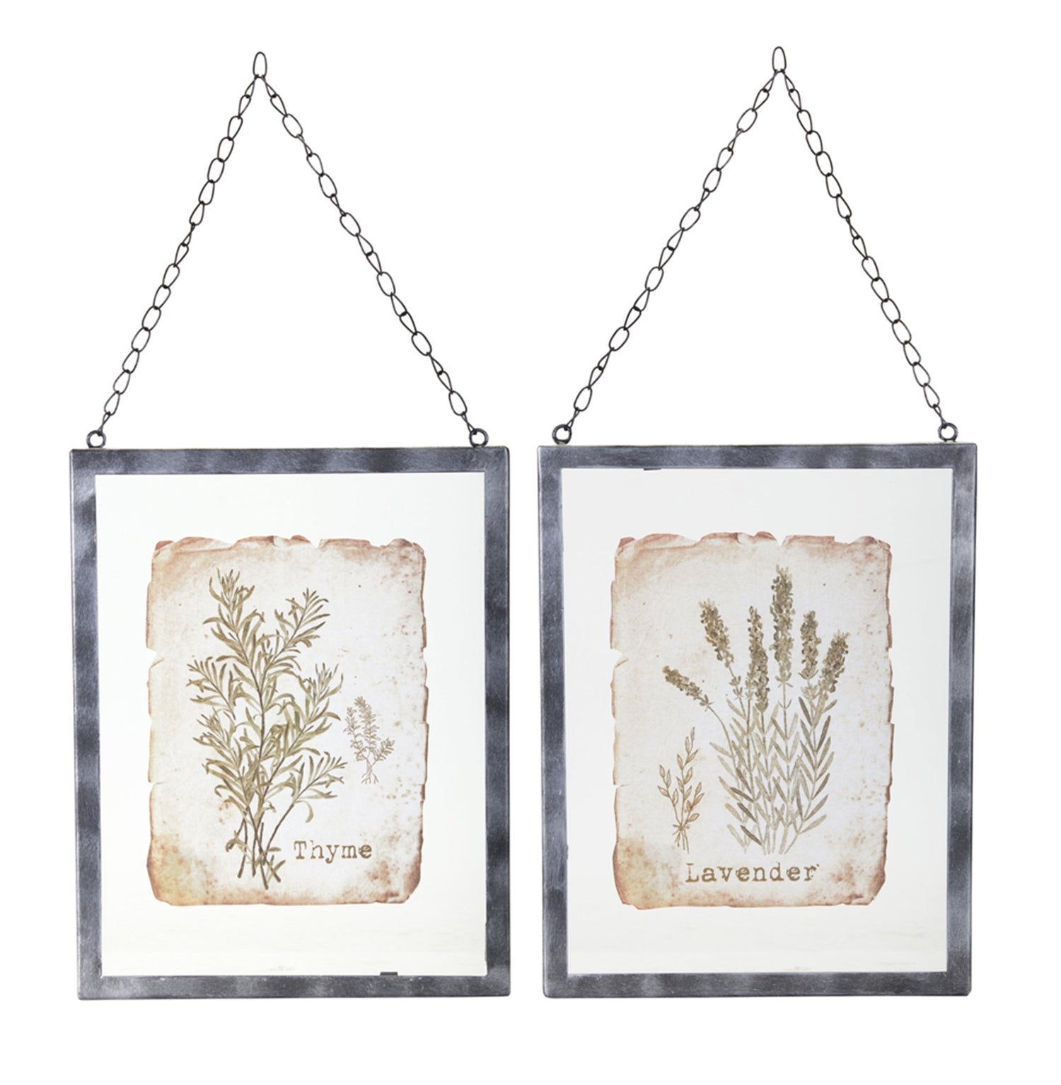 Set of two Grey Coco lavender and thyme metal and glass picture frames, 9.5x12.5 inches, decorative accessories for home decor.