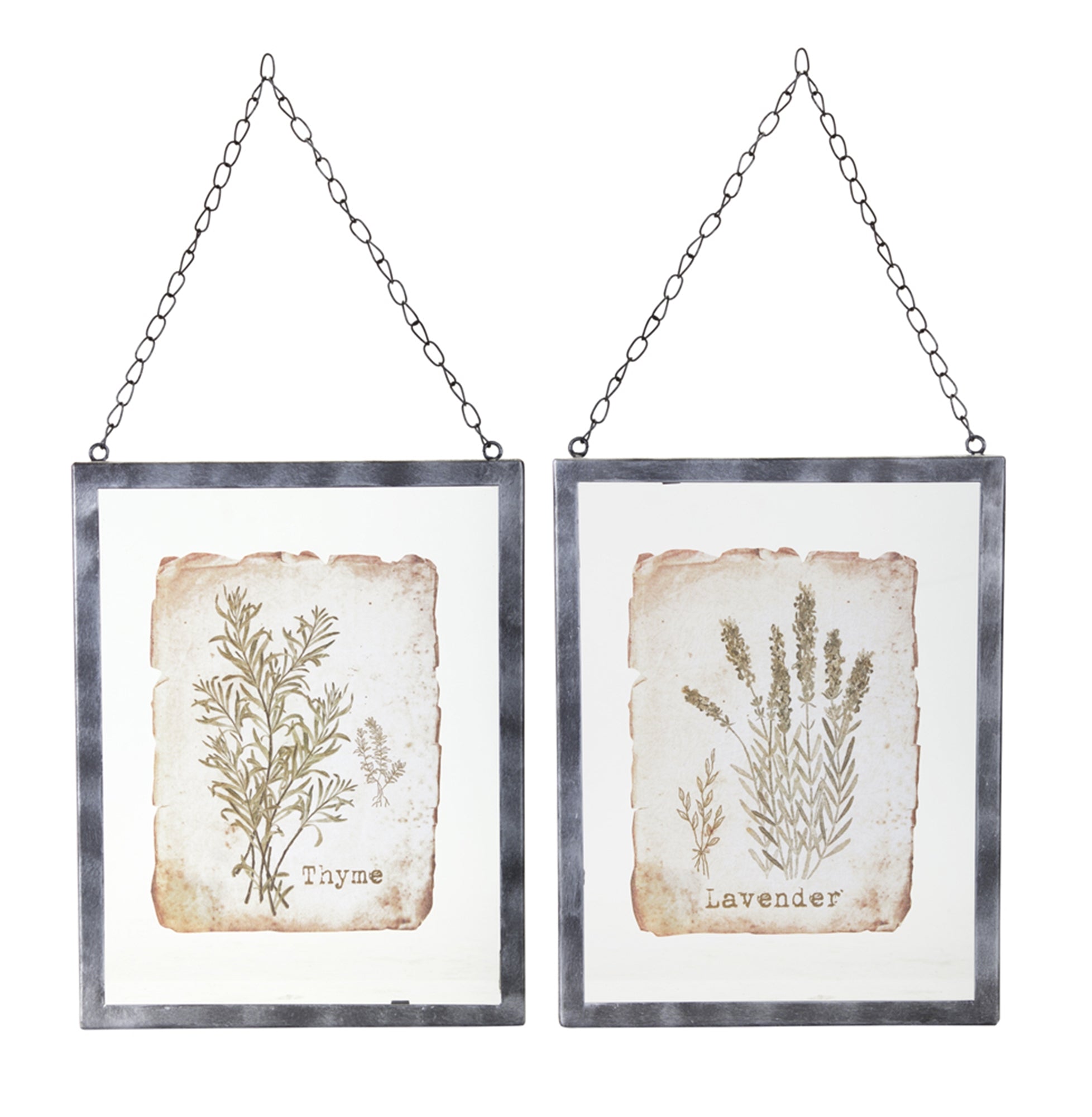 Set of two Grey Coco lavender and thyme metal and glass picture frames, 9.5x12.5 inches, decorative accessories for home decor.