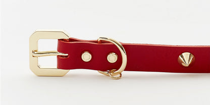 Emerald Alfie Golden Spike Red Pet Collar with adjustable strap and metal buckle, designed for dogs or cats.