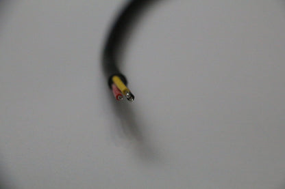Pigtail Ray Wu