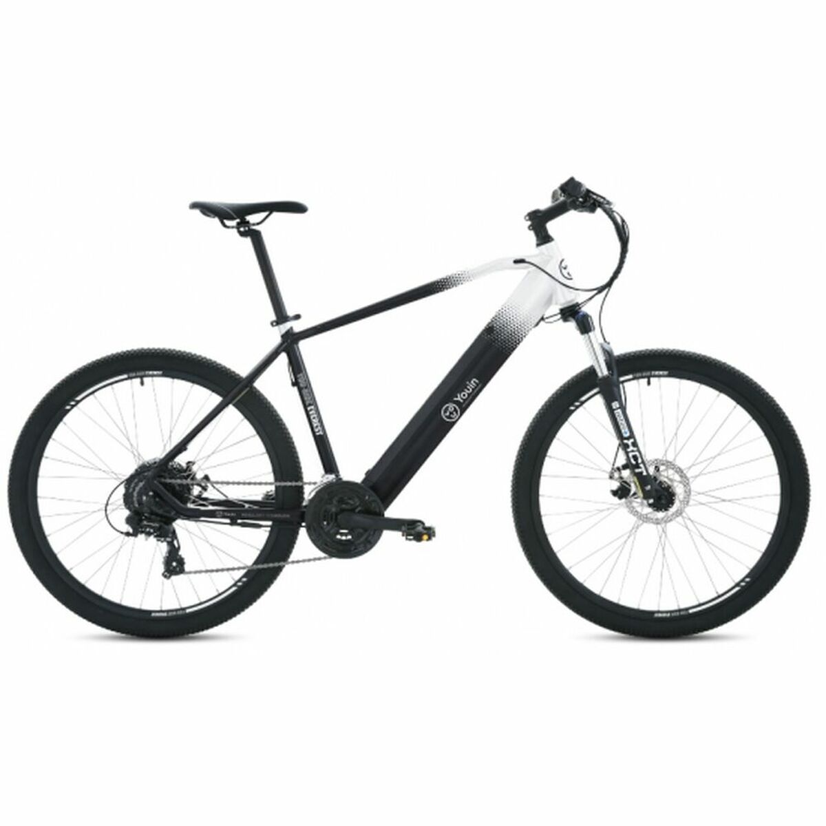 Electric bike Youin BK3000 EVEREST with 29-inch wheels and 250W motor, shown outdoors with a sleek frame and modern design.