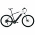 Electric bike Youin BK3000 EVEREST with 29-inch wheels and 250W motor, shown outdoors with a sleek frame and modern design.