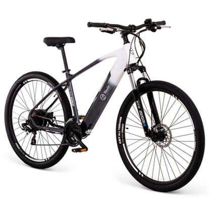 Electric bike Youin Everest 29-inch frame with 14000mAh battery and 250W motor, shown outdoors with mountain scenery in the background.