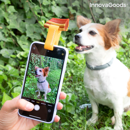 Pet selfie clip from Pefie InnovaGoods, designed for smartphones, featuring a compact, adjustable pet camera holder in black.