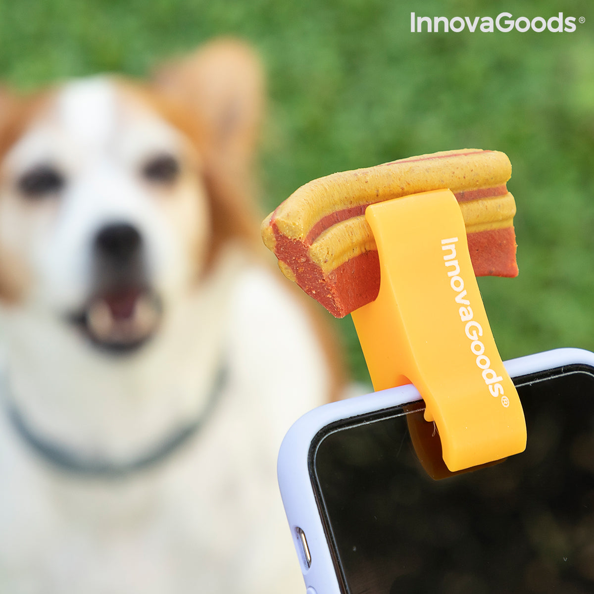 Pet selfie clip for smartphones by Pefie InnovaGoods, a consumer electronics accessory to capture pets easily.