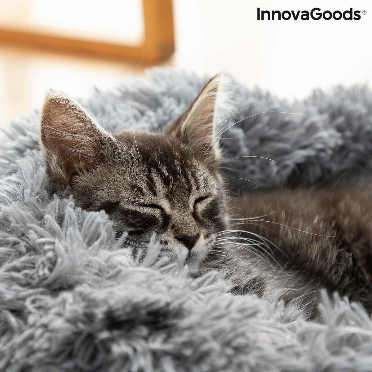 Large round pet bed by Bigbuy, Bepess InnovaGoods, with soft fabric and cozy cushioning, diameter 60 cm for small animals.