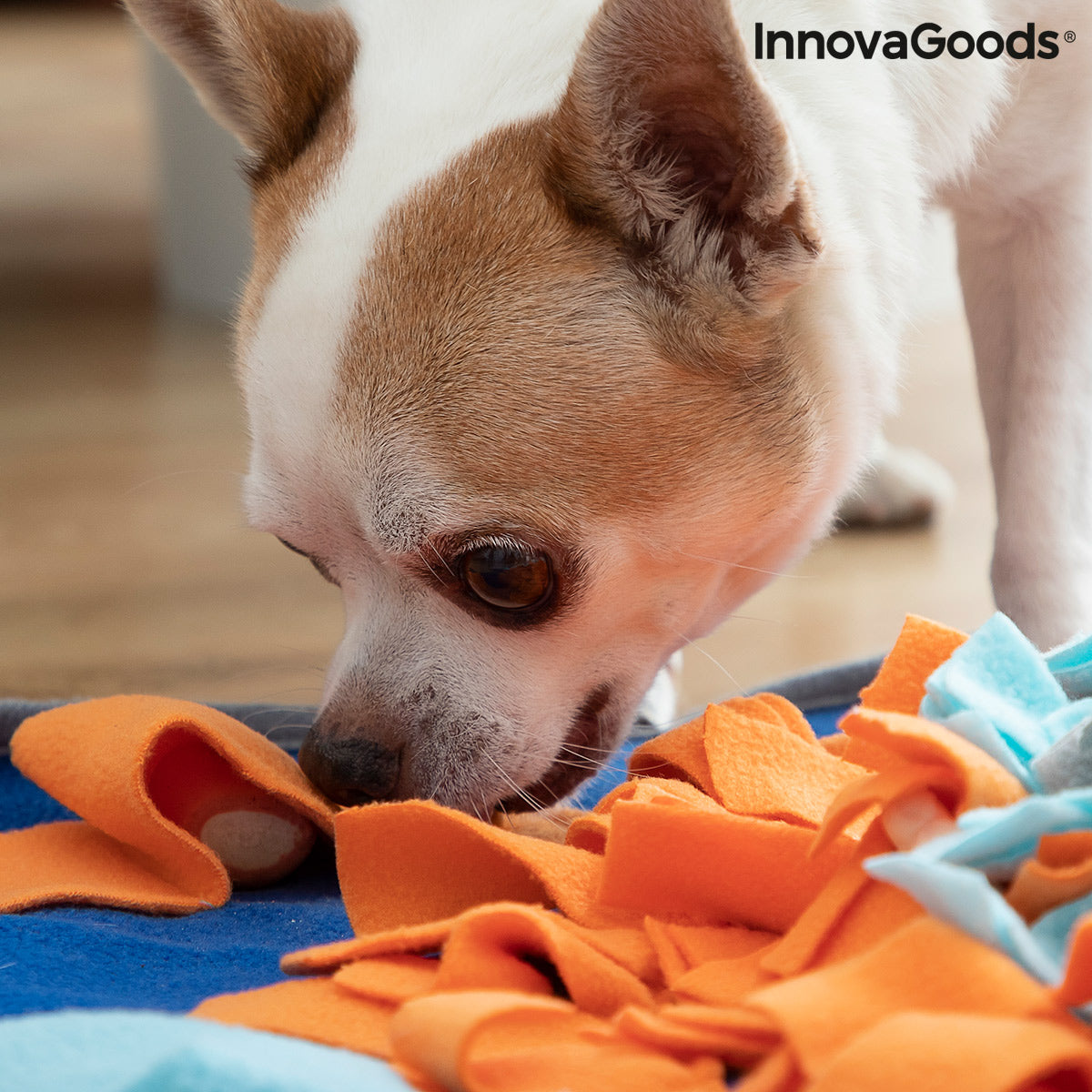 Bigbuy Fooland pet sniffing mat with colorful fabric and scent holes, designed for interactive pet enrichment and mental stimulation.