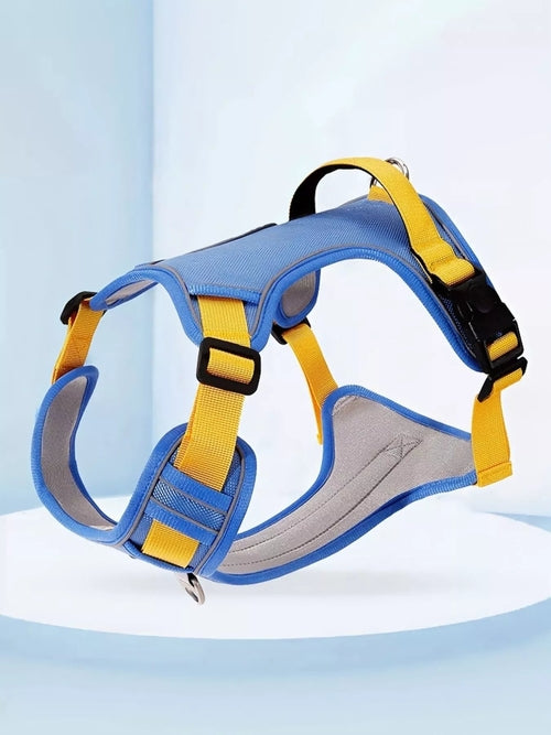 Adjustable reflective pet harness by Pear Daisy with bright stripes, designed for outdoor safety and comfortable fit for dogs.