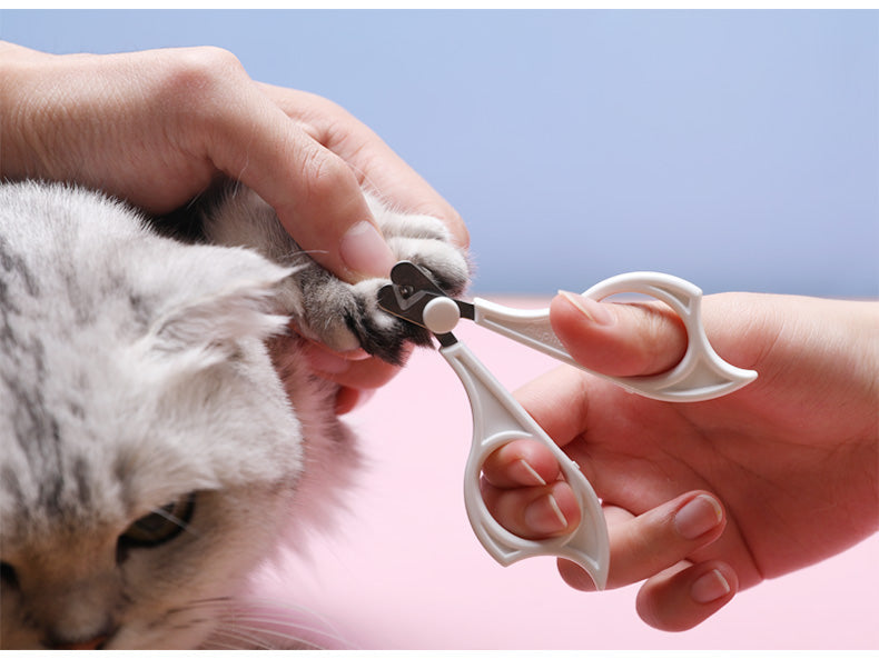 Maroon Asteria cats wool pet hair deshedding brush set with comb for removing loose fur and reducing shedding in cats.