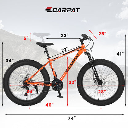Carmine Juneberry TerraForce City-Cruizer 26-inch fat tire mountain bike with 21-speed gears and full suspension.