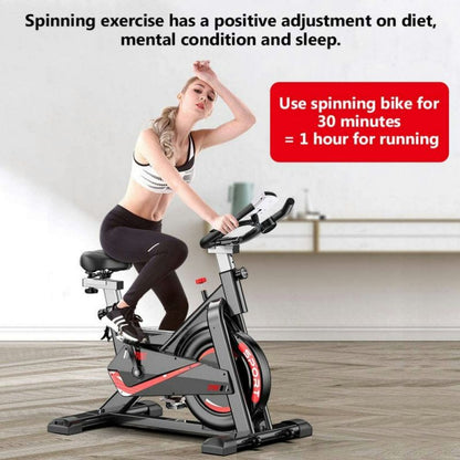 Puce Orpheus spinning bike with monitor, stationary indoor exercise equipment for cardio workouts, black with digital display.