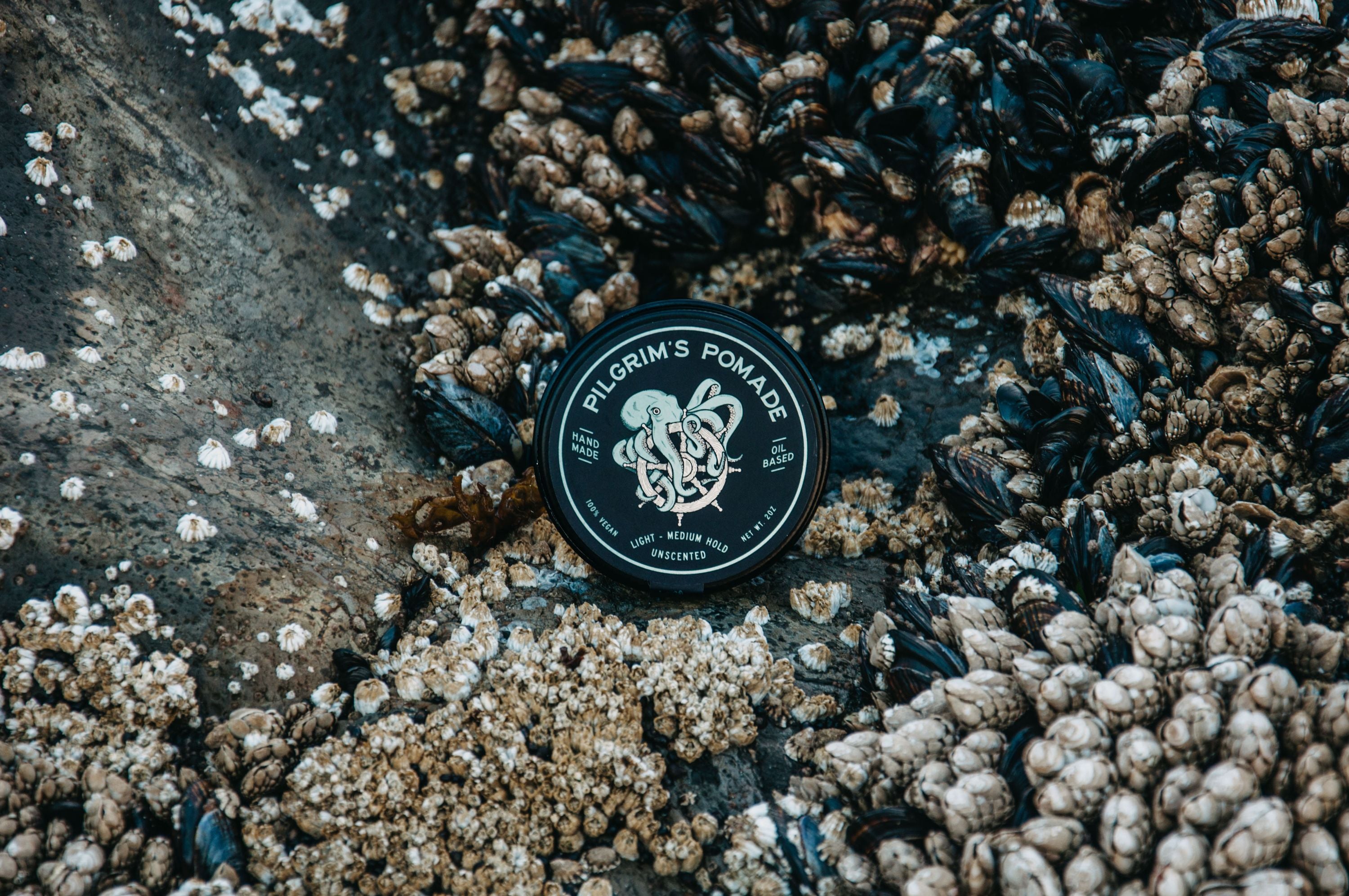 Brooklyn grooming scene featuring Lime Windroot Pilgrim&