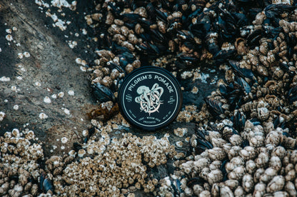 Brooklyn grooming scene featuring Lime Windroot Pilgrim&