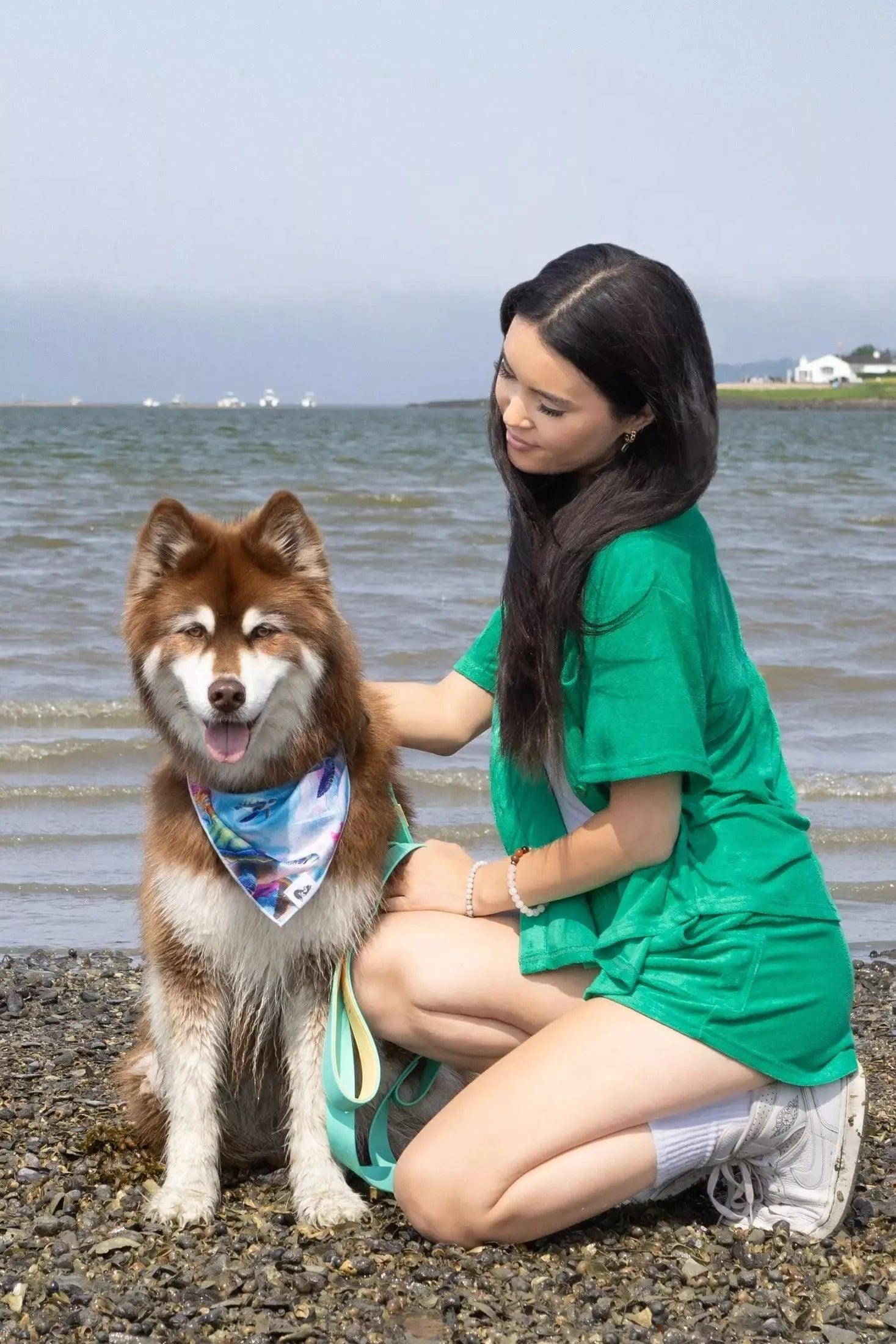 Pets wearing Burgundy Perses Cabana Green Terry Shorts, cozy pet cover-up with soft terry fabric and comfortable fit.