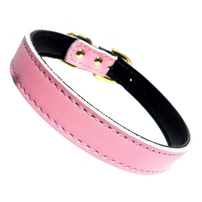 Light pink Plain Chelsea dog collar by Salmon Oscar in 8-16 inch sizes, made for small to medium dogs, stylish and comfortable petwear.