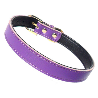 Purple plain Chelsea dog collar by Salmon Oscar in 8-16 inch sizes, made of durable material for comfortable pet wear.