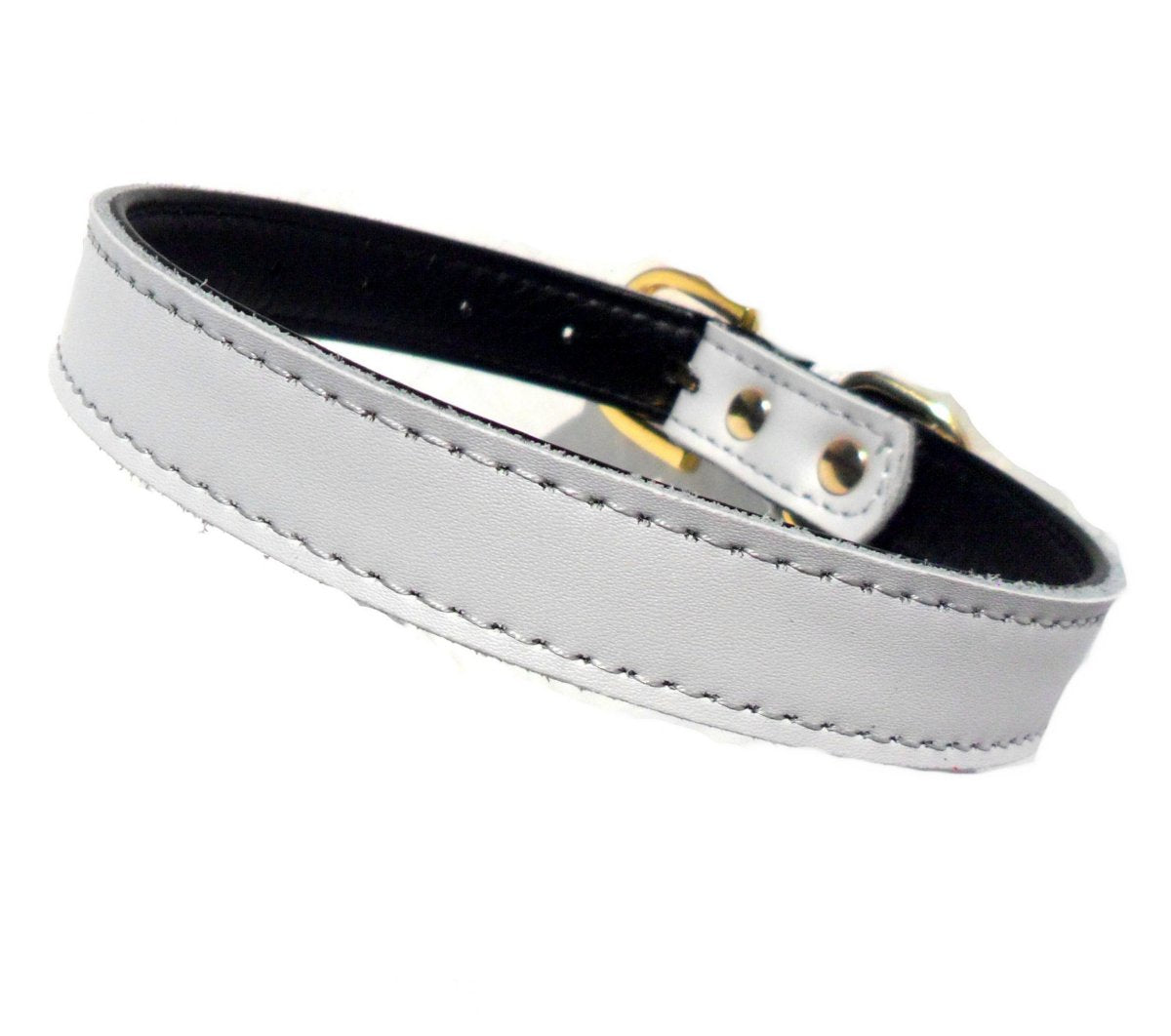 White plain Chelsea dog collar by Salmon Oscar, available in 8-16 inch sizes, made for comfortable pet wear and dog walking.