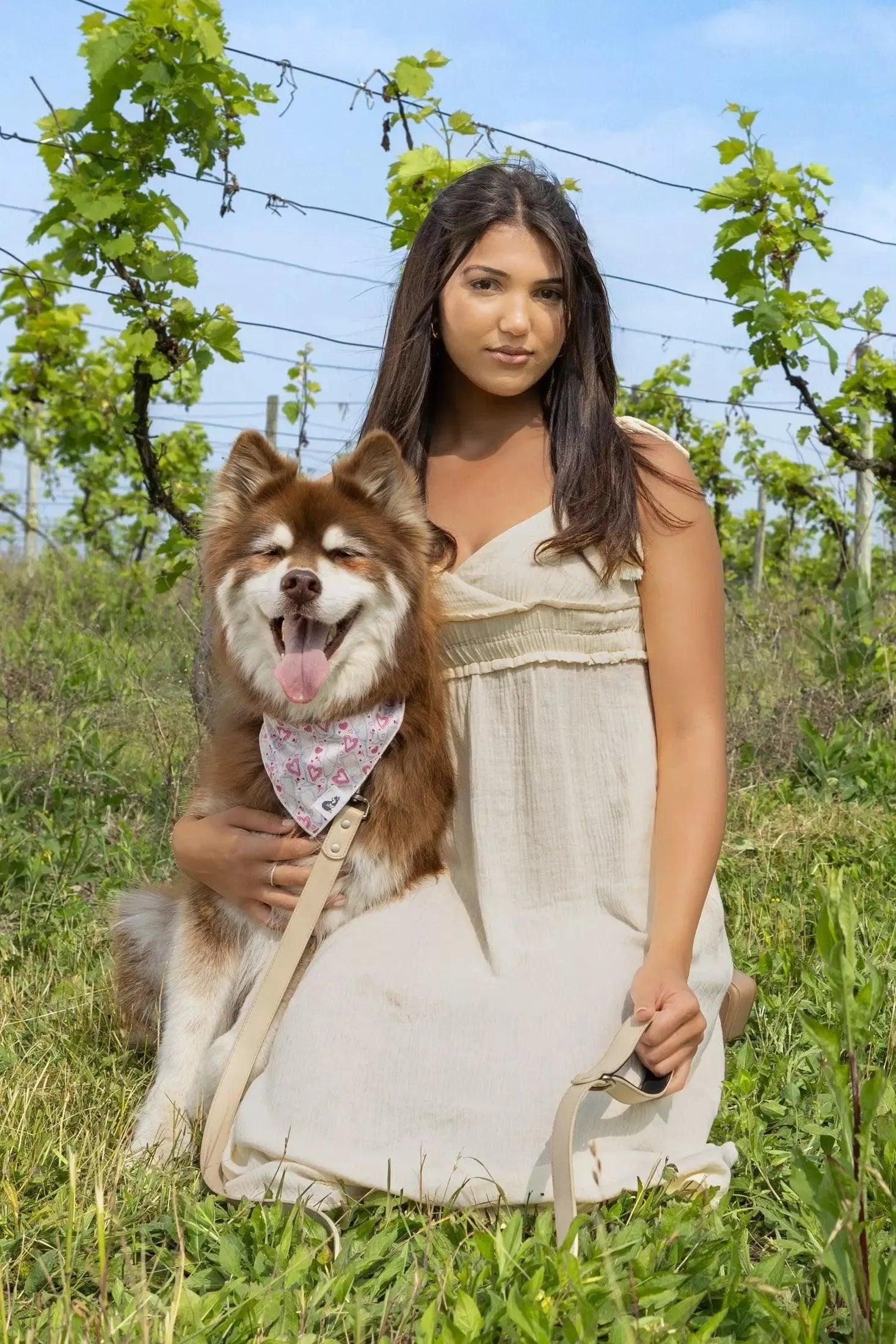 Cream pet dress with V-neck and spaghetti straps, stylish midi design from Burgundy Perses.