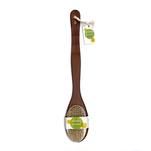 Blush Apollo bath body brush with long bamboo handle for exfoliating and cleansing skin during showers.