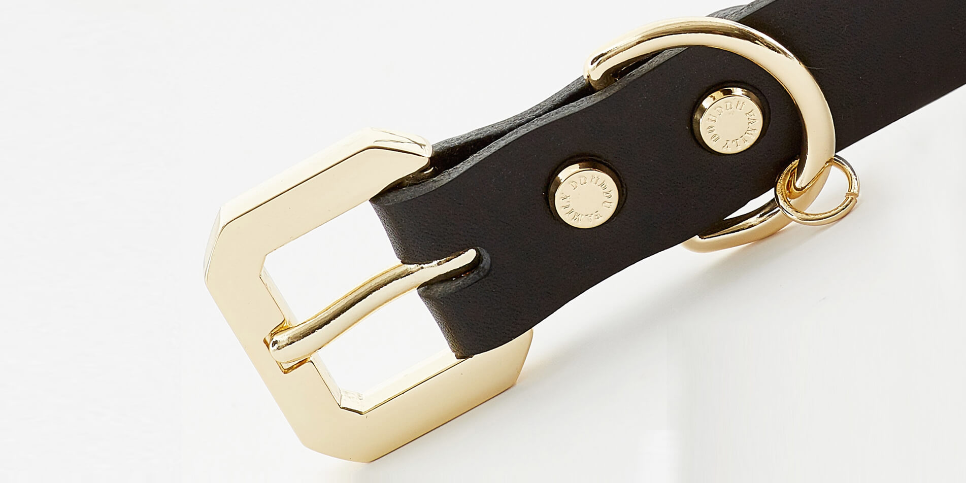 Emerald Alfie Golden Spike Black Collar for pets, featuring a stylish black design with gold spike accents on a pet&