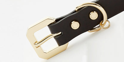 Emerald Alfie Golden Spike Black Collar for pets, featuring a stylish black design with gold spike accents on a pet&