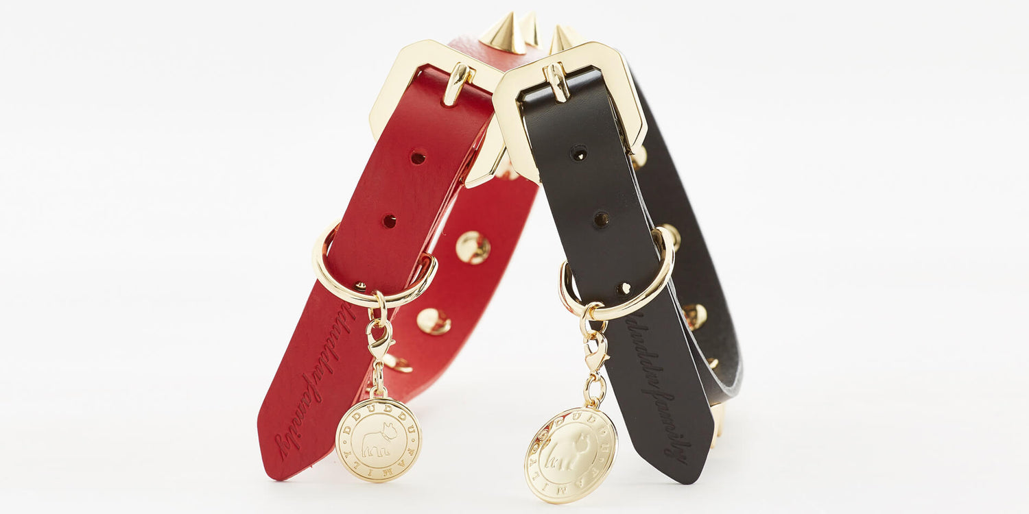Black leather pet collar with golden spike detail from Emerald Alfie, designed for stylish and secure pets.