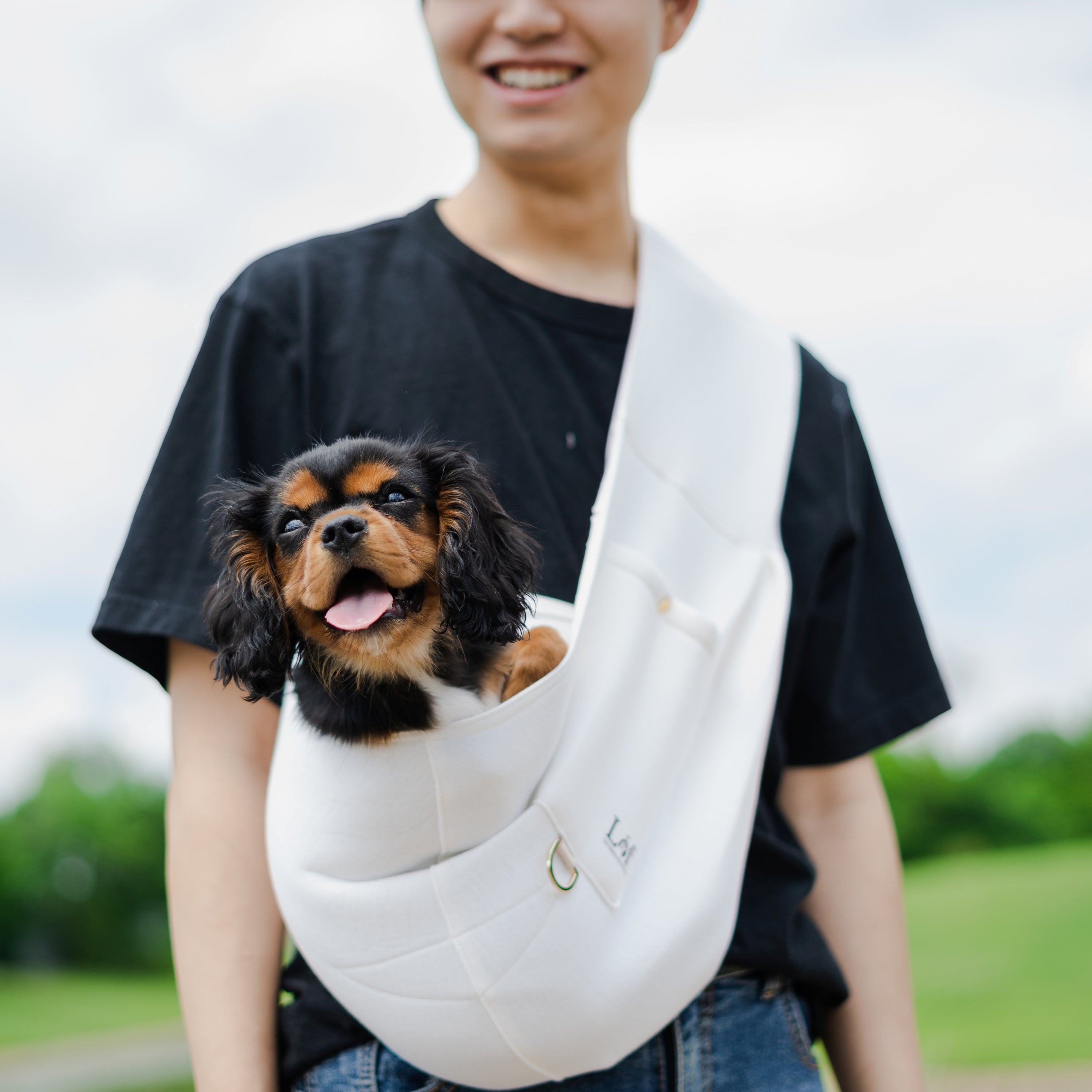 Emerald Alfie Lof neoprene pet sling carrier for small pets, showing a secure, stylish travel accessory with comfortable straps.