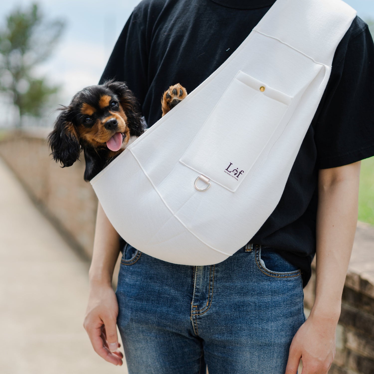 Emerald Alfie Lof Neoprene Pet Sling Carrier for small pets, secure and stylish travel accessory, shown in black with adjustable straps.
