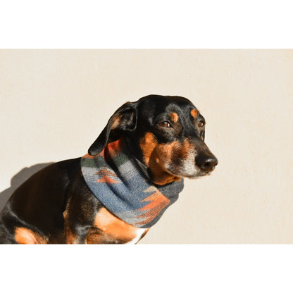 Scarlet Gaia Sequoia dog scarf featuring a vibrant, patterned design, perfect for stylish pets during outdoor walks.