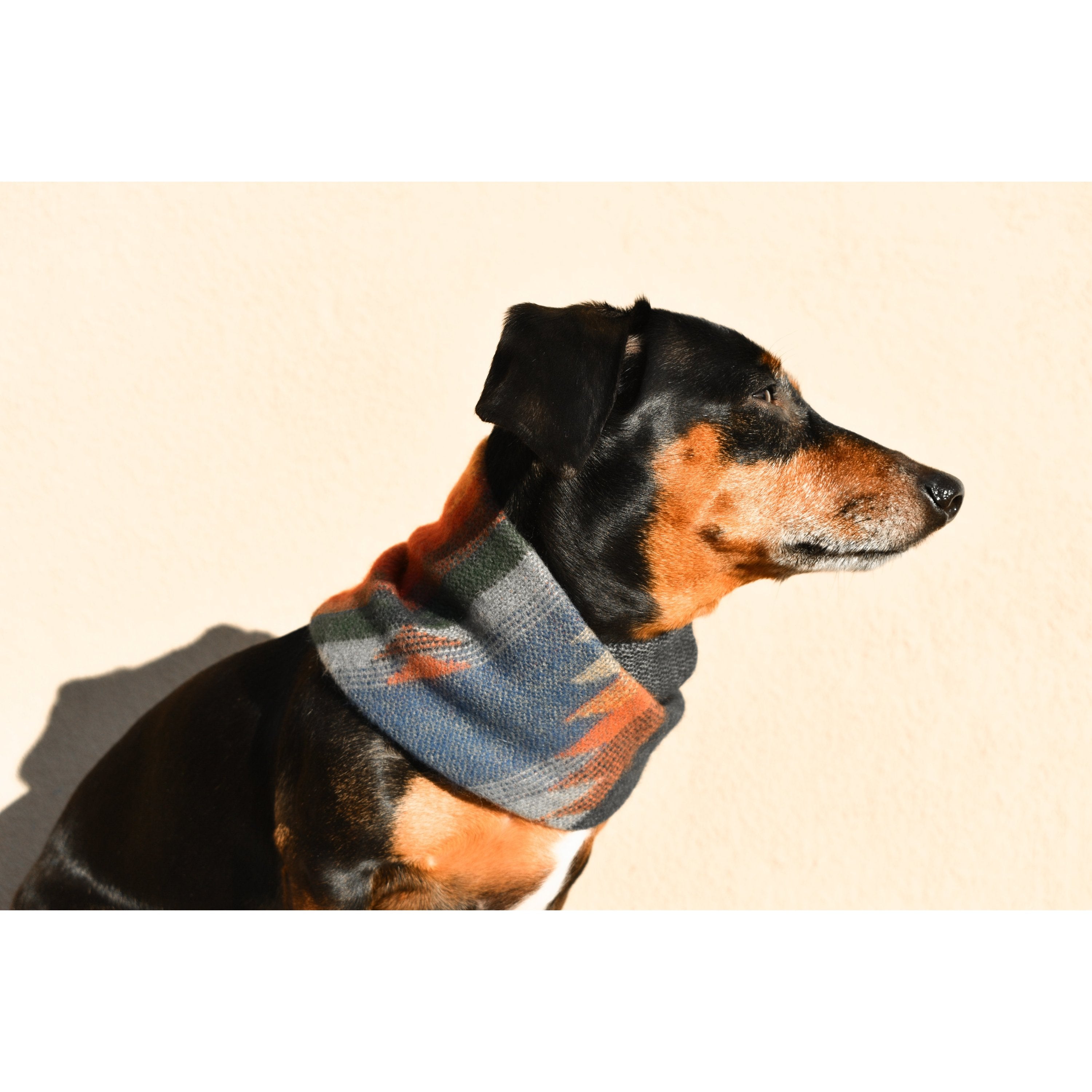 Scarlet Gaia Sequoia Dog Scarf with green and brown leaf pattern on soft fabric for pets.