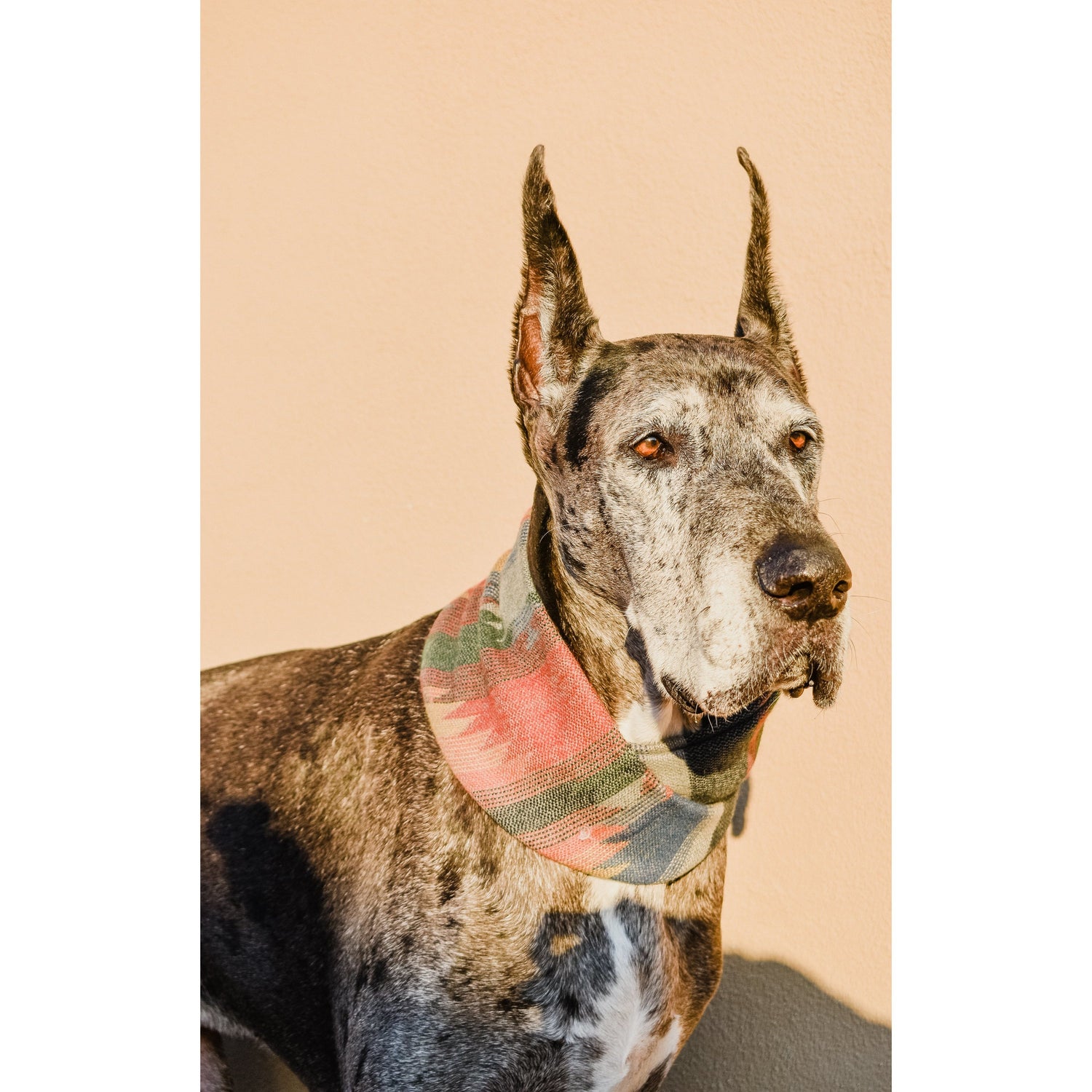 Scarlet Gaia Sequoia Dog Scarf featuring a vibrant green and brown pattern, stylish accessory for pets on a white background.