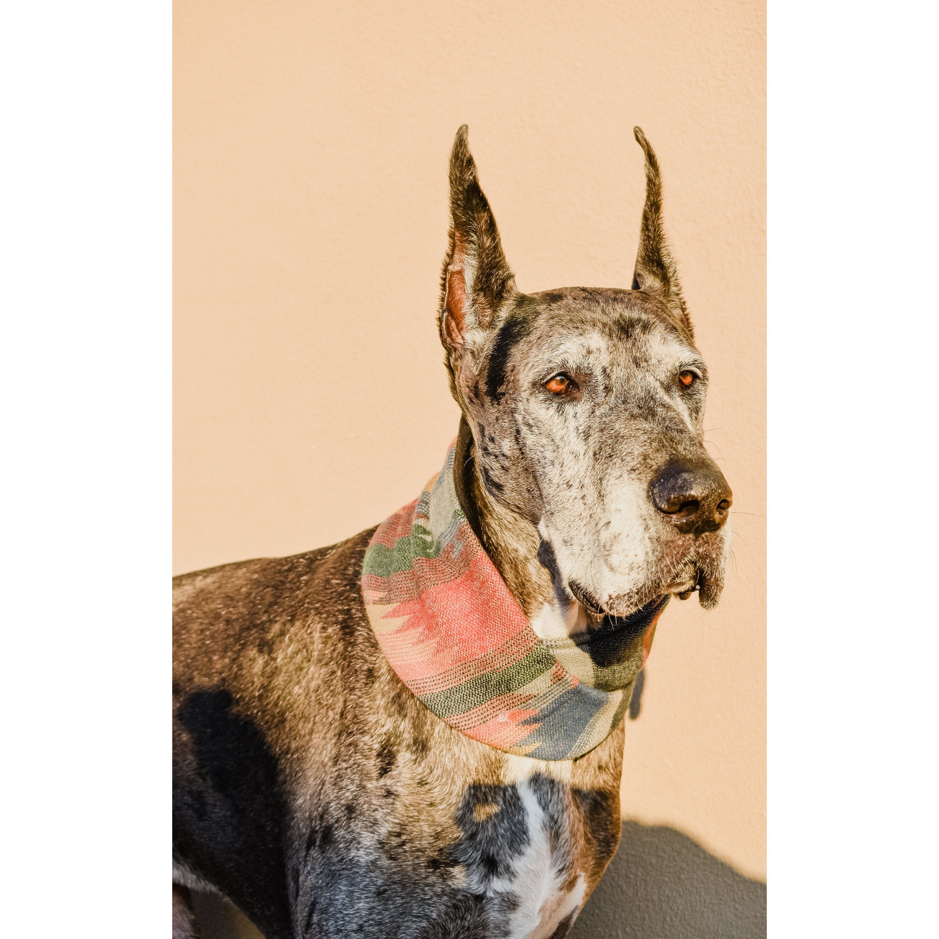 Scarlet Gaia Sequoia Dog Scarf featuring a vibrant green and brown pattern, stylish accessory for pets on a white background.