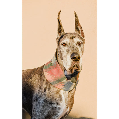 Scarlet Gaia Sequoia dog scarf with green and beige pinecone pattern, cozy pet accessory for stylish pets.