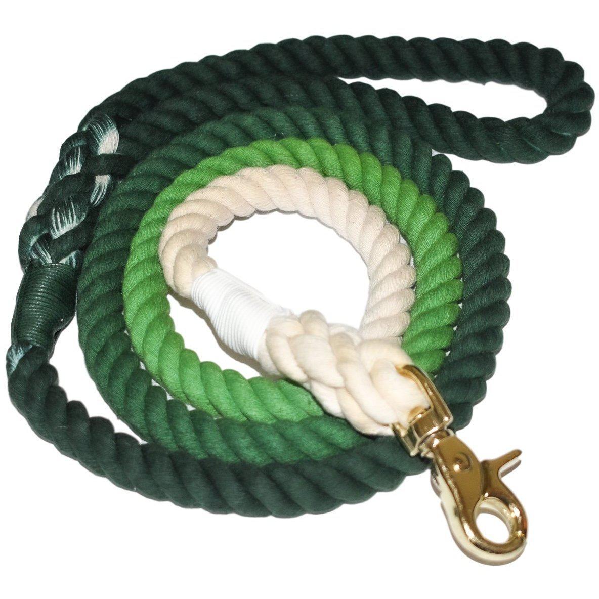 Scarlet Gaia Aloe There dog leash for pets, featuring a durable design with a vibrant pattern and comfortable grip.