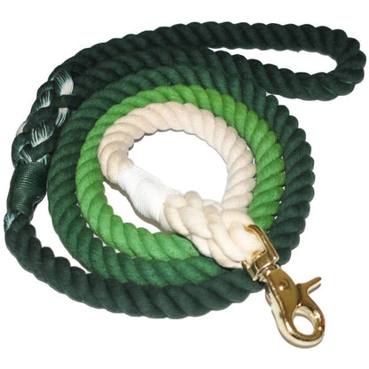 Scarlet Gaia Aloe There dog leash for pets, featuring a durable design with a vibrant pattern and comfortable grip.