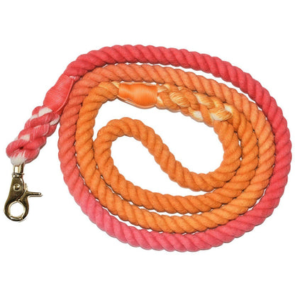 Scarlet Gaia Sunkissed dog leash with a colorful design, featuring a sturdy handle and clasp for pet walking.