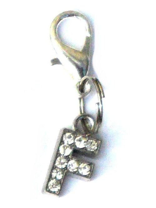 Salmon Oscar A-Z Crystal Letter Pet Charm attached to a pet collar, featuring sparkling crystal letter design for pets.