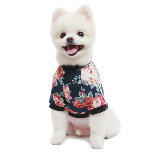 Emerald Alfie Flower Jersey T-shirt for pets featuring a colorful floral pattern on soft fabric.
