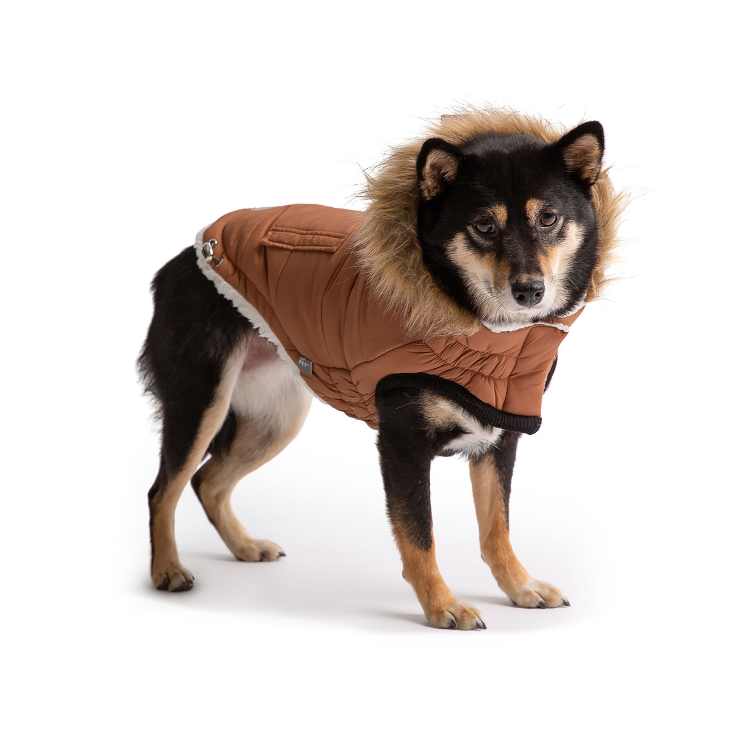Beige Antigone caramel urban parka for pets, showcasing a stylish, weather-resistant pet coat with a hood and adjustable fit.