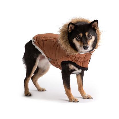 Beige Antigone caramel urban parka for pets, showcasing a stylish, weather-resistant pet coat with a hood and adjustable fit.