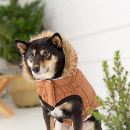 Beige Antigone Urban Parka in caramel color, stylish petwear with a cozy design, shown on a model.
