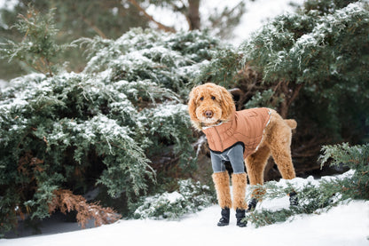 Beige Antigone urban caramel parka for dogs, stylish pet coat with hood and adjustable fit, suitable for outdoor walks.