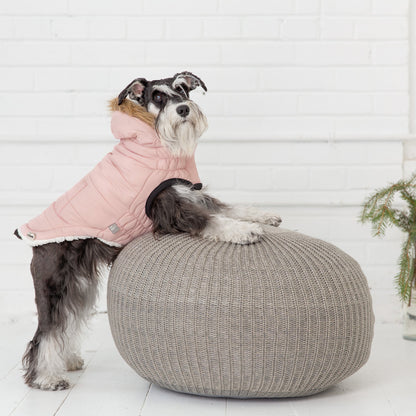 Pink Urban Parka for pets by Beige Antigone, featuring stylish, warm petwear with a hood and adjustable fit.
