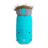 Beige Antigone Winter Sailor Parka in aqua for pets, featuring a stylish, cozy design with a sailor-inspired look.