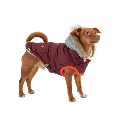 Beige Antigone Burgundy Winter Sailor Parka for dogs, stylish pet outerwear with sailor-inspired design and warm fabric.