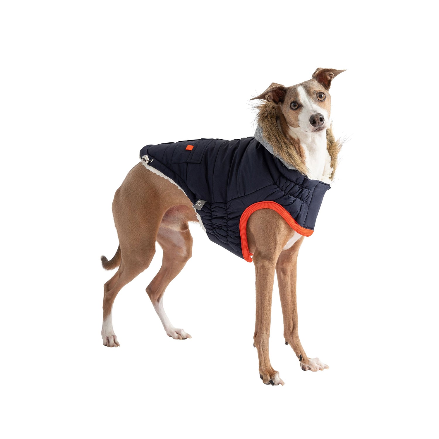 Navy Winter Sailor Parka for pets by Beige Antigone, featuring a stylish, warm coat with sailor-inspired design and navy blue color.