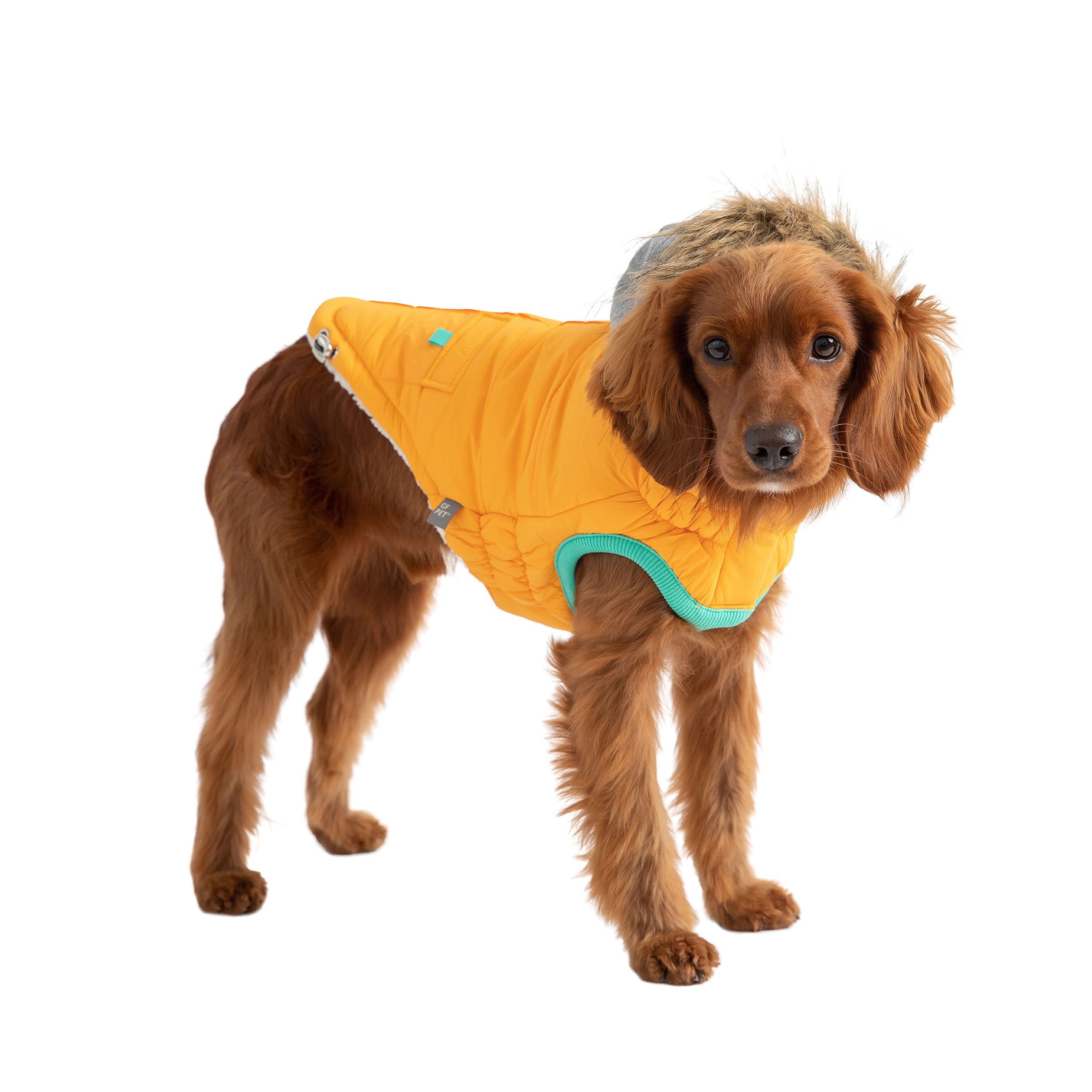 Yellow Winter Sailor Parka for pets by Beige Antigone, featuring a stylish, insulated coat with sailor-inspired design.