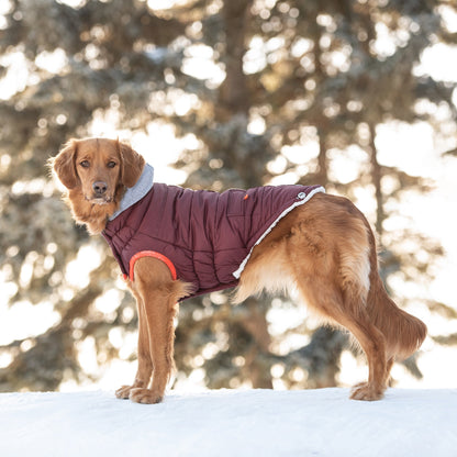Beige Antigone Winter Sailor Parka in burgundy for pets, showcasing a cozy, stylish petwear design with a hood and winter insulation.