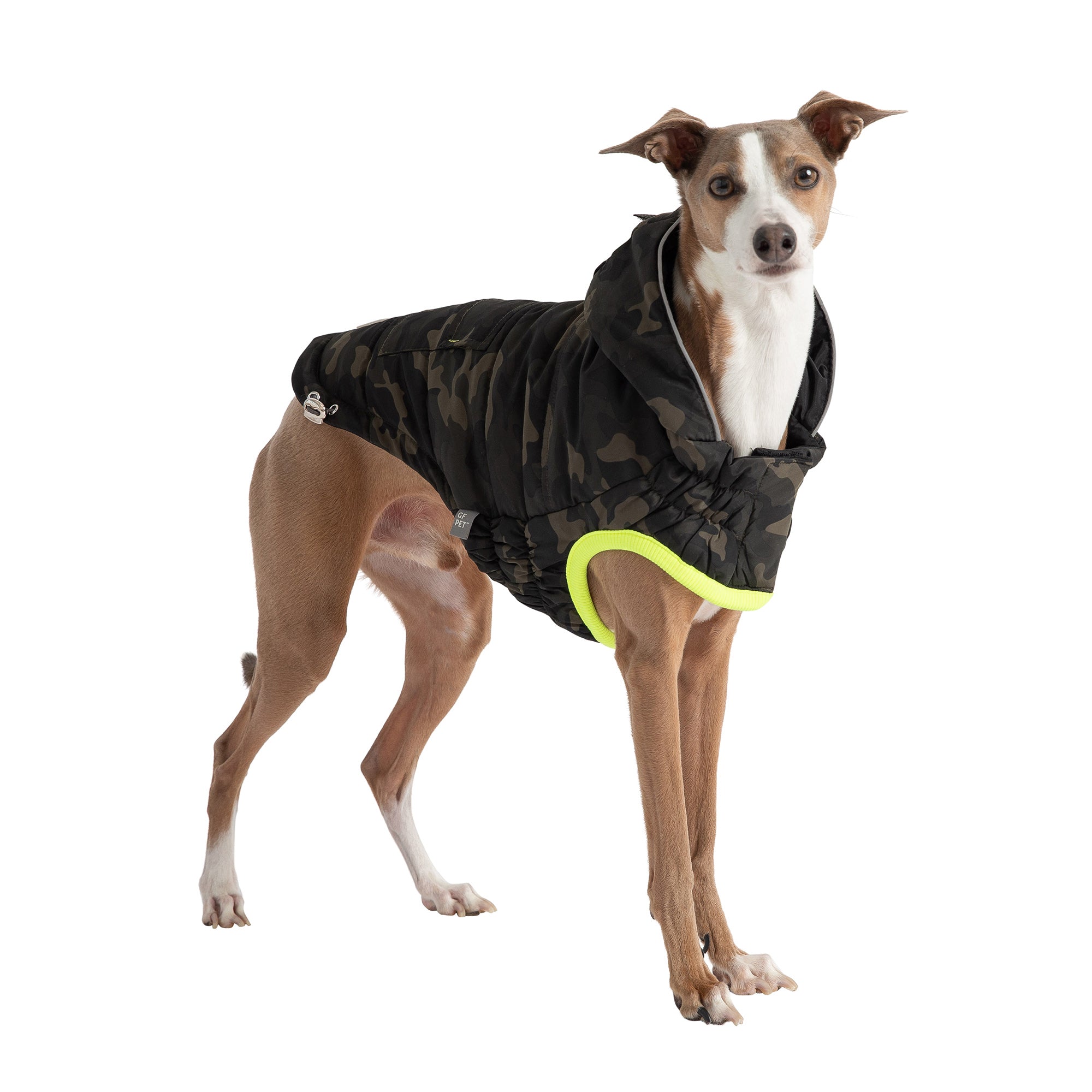 Beige Antigone recycled camouflage parka for pets, stylish and eco-friendly, shown on a dog in a natural outdoor setting.